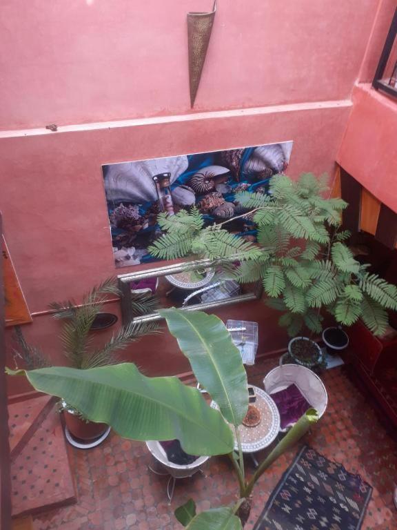 Riad Hanafi Marrakesh Exterior foto